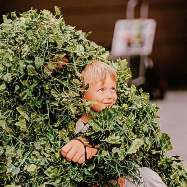 Austria Bushman Stramankerl 2023